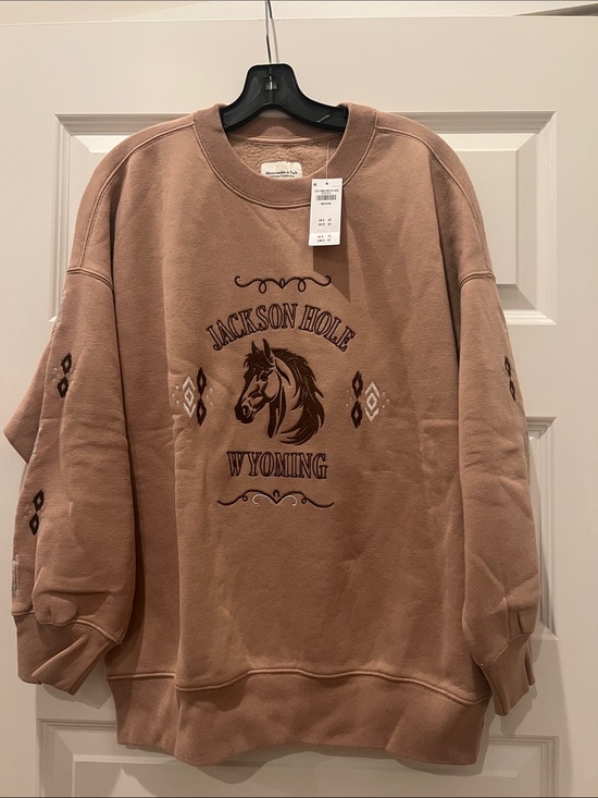 Abercrombie & Fitch Tops - Abercrombie Sunday Crewneck sweatshirt Jackson Hole